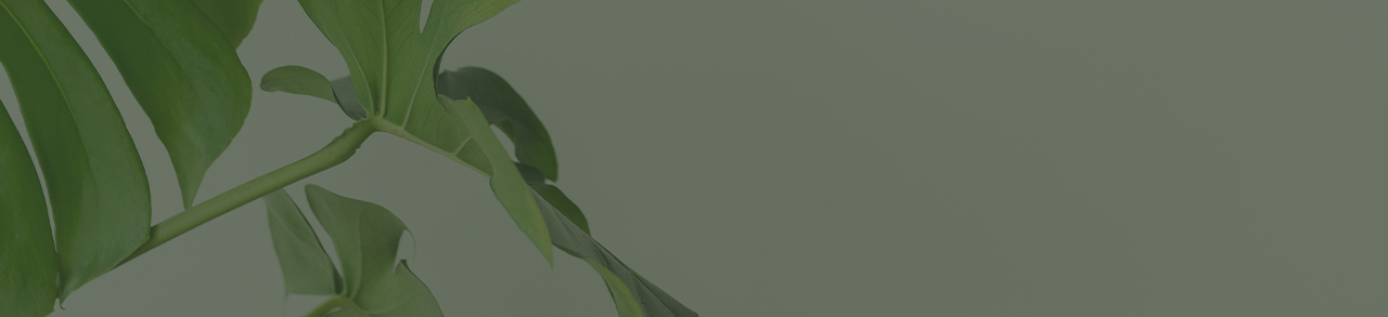 footer Banner